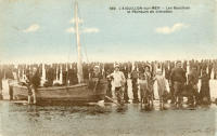 522 Bouchots et pêcheurs de crevettes à l'Aiguillon-sur-Mer. Marais poitevin 