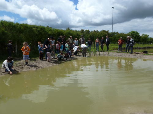 Parc interrégional du Marais poitevin - Réhabilitation du plan d'eau municipal à Triaize