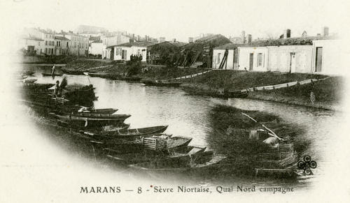 Marans - Sèvre niortaise, Quai Nord. Marais poitevin