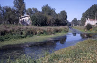 3216 Saint-Sigismond - Le canal de la Vieille Autise. Marais poitevin 