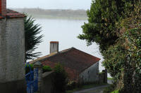 3305 Lairoux - Le Gorgeais, marais communal inondé. Marais poitevin 