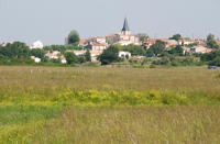 4699 Saint-Denis du Payré - Le village vu de la Réserve naturelle nationale. Marais poitevin 