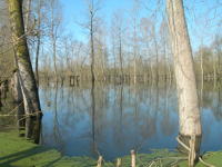 5791 Le Vanneau-Irleau - Inondation mars 2007 dans le marais d'Irleau 