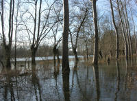 5805 Bessines - Inondation février 2007 