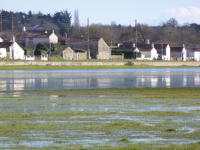 5874 Lairoux - Le marais communal de Lairoux inondé. Marais poitevin 
