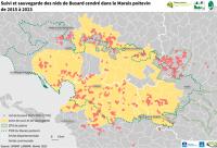 15229 Suivi et sauvegarde des nids de Busard cendré dans le Marais poitevin de 2015 à 2022 