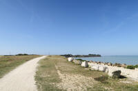 15363 Le littoral au bord de la réserve naturelle volontaire du Marais de Pampin - La Rochelle (17) 