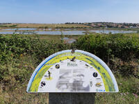 15352 La réserve naturelle volontaire du Marais de Pampin - La Rochelle (17) 