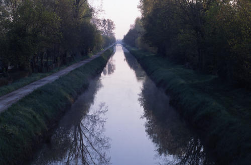 Marais poitevin. Le Canal de la Vieille Autize à Saint-Sigismond.