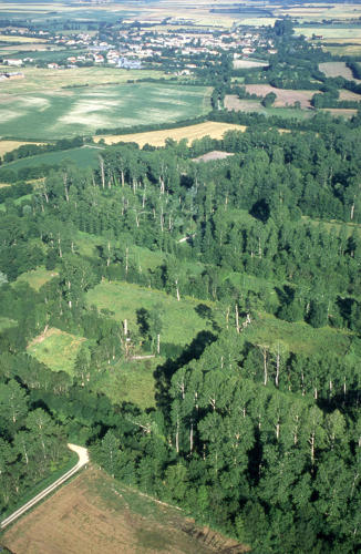 Marais poitevin. Vue aérienne du marais mouillé de Saint-Georges-de-Rex.