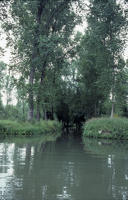 126 Marais poitevin. Une voie d'eau dans le marais mouillé à Sansais La Garette en été. 