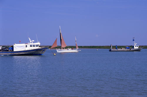 Le Boucholeur, au milieu des bateaux mytilicoles dans le Port du Pavé. Marais poitevin