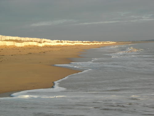 Plage et la dune mobile à la Tranche-sur-Mer. Marais poitevin