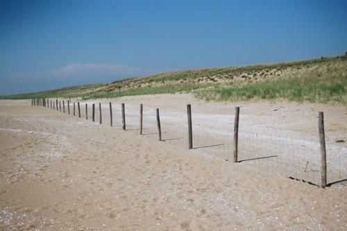 Enclos de protection pour le Gravelot sur une plage de La Tranche-sur-Mer. Marais poitevin