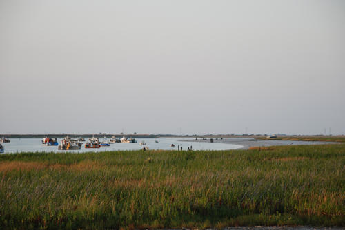 Le port du Pavé sur l'estuaire de la Sèvre niortaise à Charron. Marais poitevin