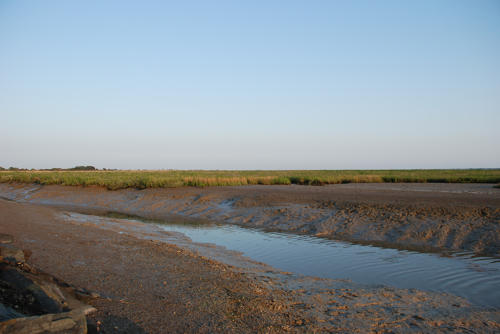 Les pré-salés du port du Pavé sur l'estuaire de la Sèvre niortaise à Charron. Marais poitevin