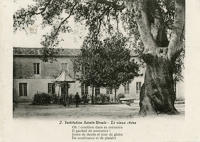 390 Le vieux chêne de l'Institution Sainte-Ursule à Luçon. Marais poitevin 