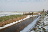 418 Le marais desséché de Triaize sous la glace et la neige. Marais poitevin 