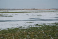 419 Le marais desséché de Triaize sous la glace et la neige. Marais poitevin 
