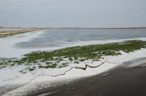 Le marais desséché de Triaize sous la glace et la neige. Marais poitevin
