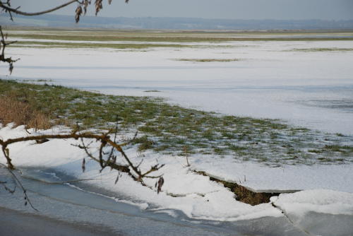 Le marais desséché de Triaize sous la glace et la neige. Marais poitevin