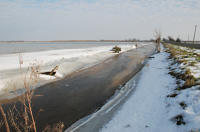 430 Le marais desséché de Triaize sous la glace et la neige. Marais poitevin 