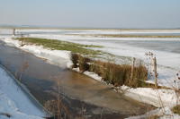 432 Le marais desséché de Triaize sous la glace et la neige. Marais poitevin 