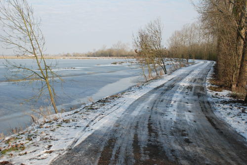 Le marais communal de Triaize sous la glace et la neige. Marais poitevin