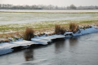 470 Paysage du marais desséché de Triaize sous la glace et la neige. Marais poitevin 