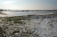 474 Paysage du marais desséché de Triaize sous la glace et la neige. Marais poitevin 