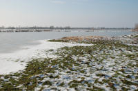 476 Paysage du marais desséché de Triaize sous la glace et la neige. Marais poitevin 