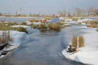 484 Paysage du marais desséché de Triaize sous la glace et la neige. Marais poitevin 