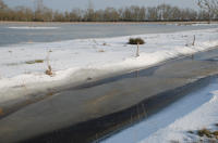 485 Paysage du marais desséché de Triaize sous la glace et la neige. Marais poitevin 
