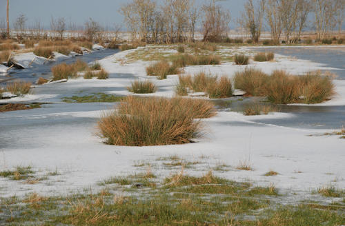 Paysage du marais desséché de Triaize sous la glace et la neige. Marais poitevin