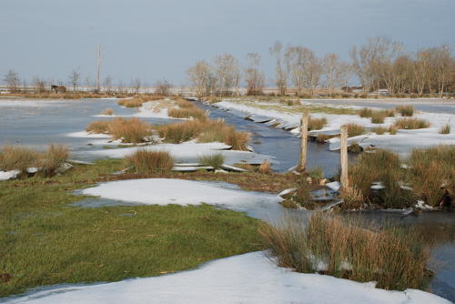 Paysage du marais de Triaize sous la glace et la neige. Marais poitevin