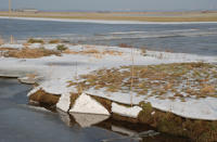506 Paysage du marais desséché de Triaize sous la glace et la neige. Marais poitevin 