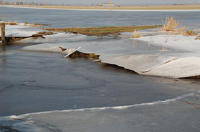 507 Paysage du marais desséché de Triaize sous la glace et la neige. Marais poitevin 