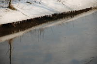 508 Paysage du marais desséché de Triaize sous la glace et la neige. Marais poitevin 
