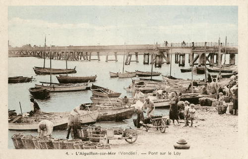 Déchargement des moules au port de l'Aiguillon. Marais poitevin