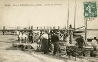 517 Arrivée des boucholeurs dans le port de l'Aiguillon-sur-Mer. Marais poitevin 