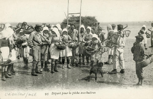 Départ pour la pêche aux huîtres à l'Aiguillon-sur-Mer. Marais poitevin