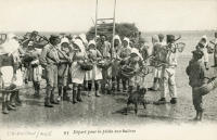 523 Départ pour la pêche aux huîtres à l'Aiguillon-sur-Mer. Marais poitevin 