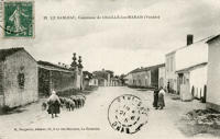 552 Troupeau de mouton dans Le Sableau, commune de Chaillé-les-Marais. Marais poitevin 