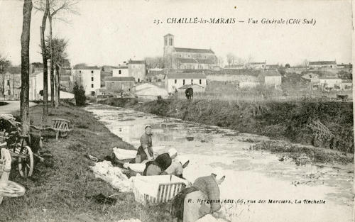 Lavandières à l'entrée du village de Chaillé-les-Marais. Marais poitevin