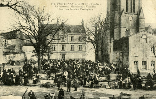 Le nouveau marché aux volailles, cour de l'ancien Presbytère à Fontenay-le-Comte. Marais poitevin