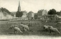 645 Fontenay-le-Comte – Moutons au pâturage, à l'arrière-plan, la Rue du Port, l'Eglise et la Tour de l'Octroi. Marais poitevin 