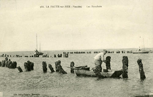 Les bouchots à La Fautes-sur-Mer.