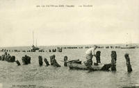 651 Les bouchots à La Fautes-sur-Mer. 