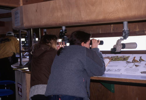 Marais poitevin. Trois personnes observent les oiseaux. Observatoire de la Réserve nationale Michel Brosselin. Saint-Denis-du-Payré.