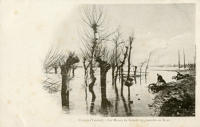767 Curzon, les Marais du Grand lay inondés en hiver. Marais poitevin 